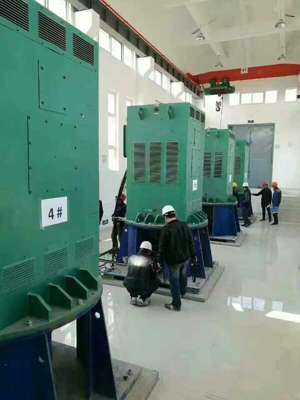 和庆镇某污水处理厂使用我厂的立式高压电机安装现场一年质保